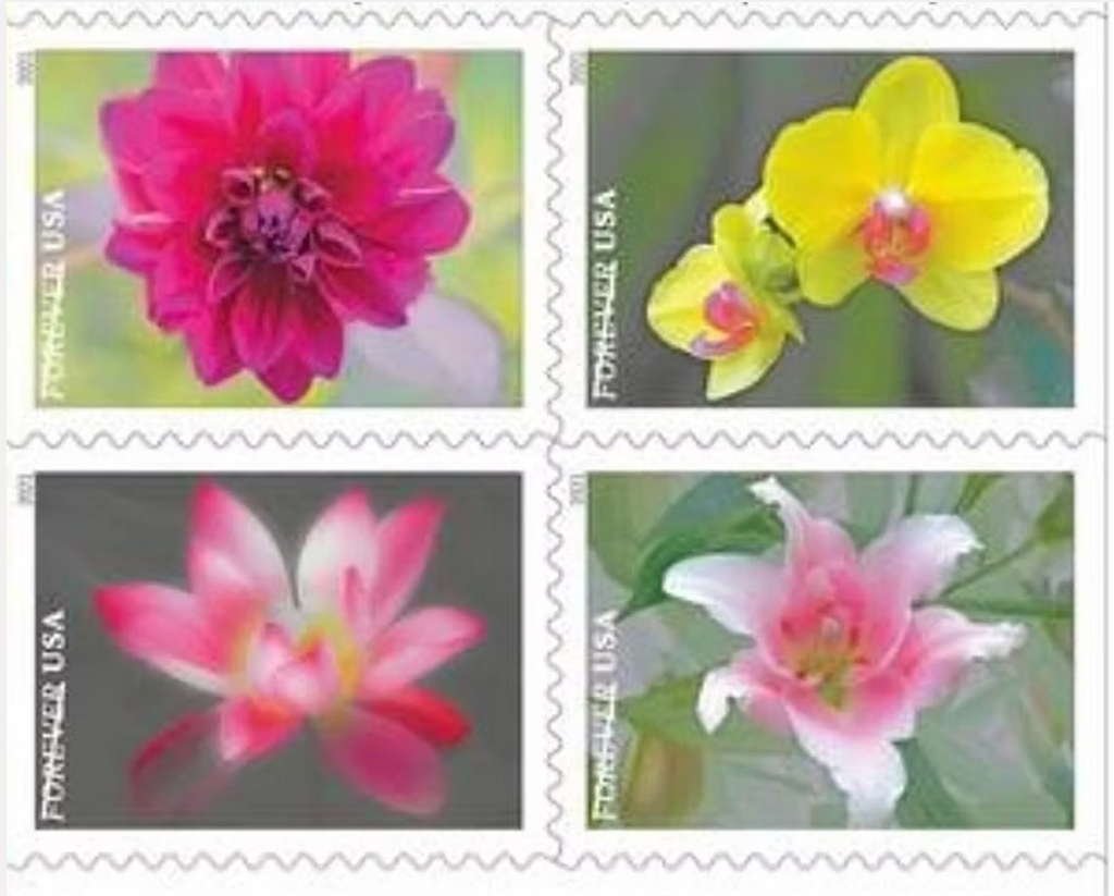 Garden Beauty Forever Stamps – 200 Stamps Total (10 Booklets) – Bulk Discount Postage